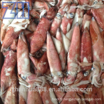 Frozen Loligo Japanese Squid Jigs 8-13cm taiwan